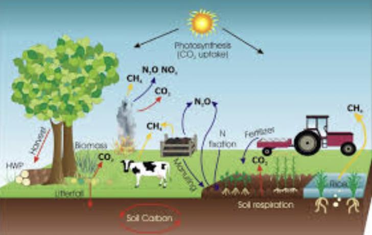 Free Webinar: Reducing Greenhouse Gases through Carbon Conversion