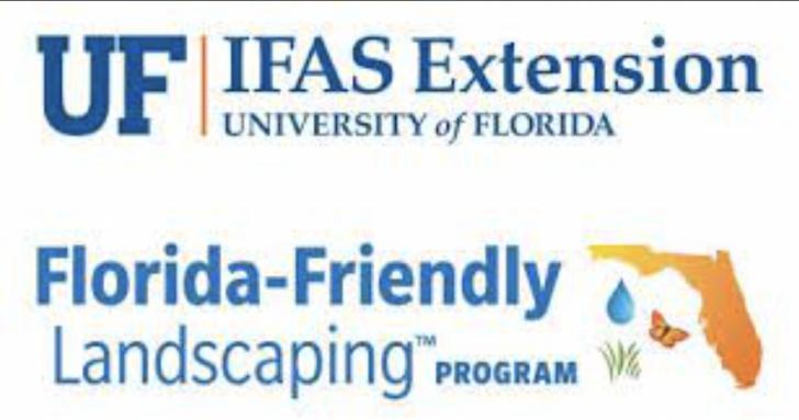 Free Webinar, "Should You Bamboo?" UF/IFAS Florida-Friendly Landscapin Program