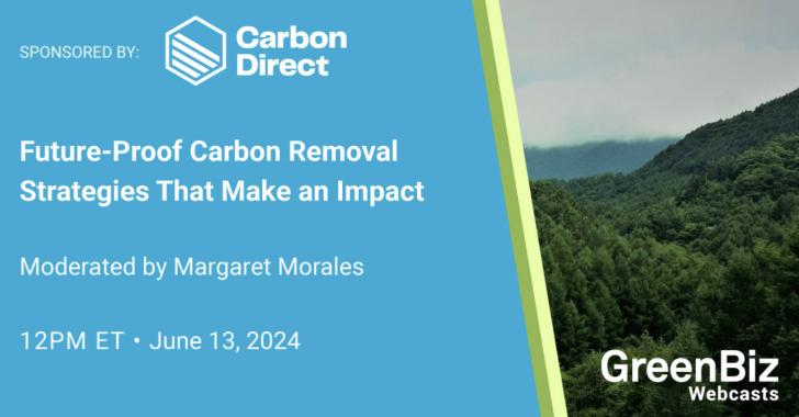 Future-Proof Carbon Removal Strategies That Make an Impact,, GreenBiz