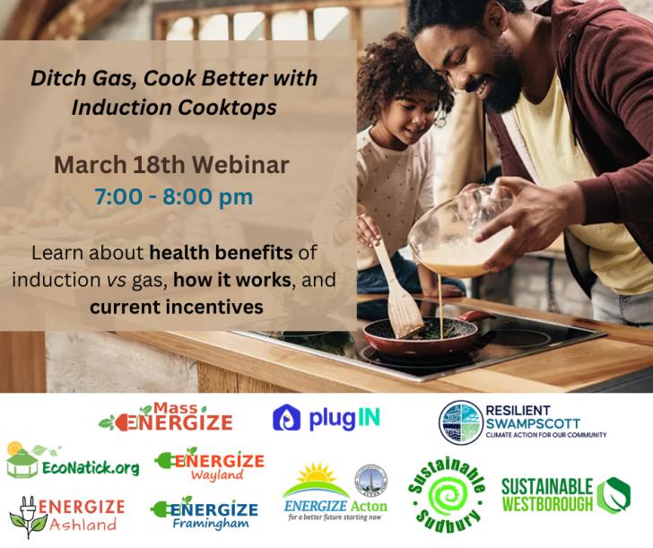 Free Webinar: Induction cooktops