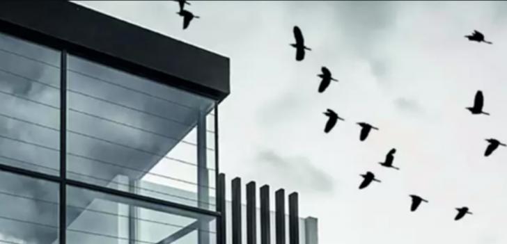 Free Better Buildings Webinar, For the Birds: Energy Co-Benefits of Bird-Friendly BuildingsFor the Birds: Energy Co-Benefits of Bird-Friendly Buildings